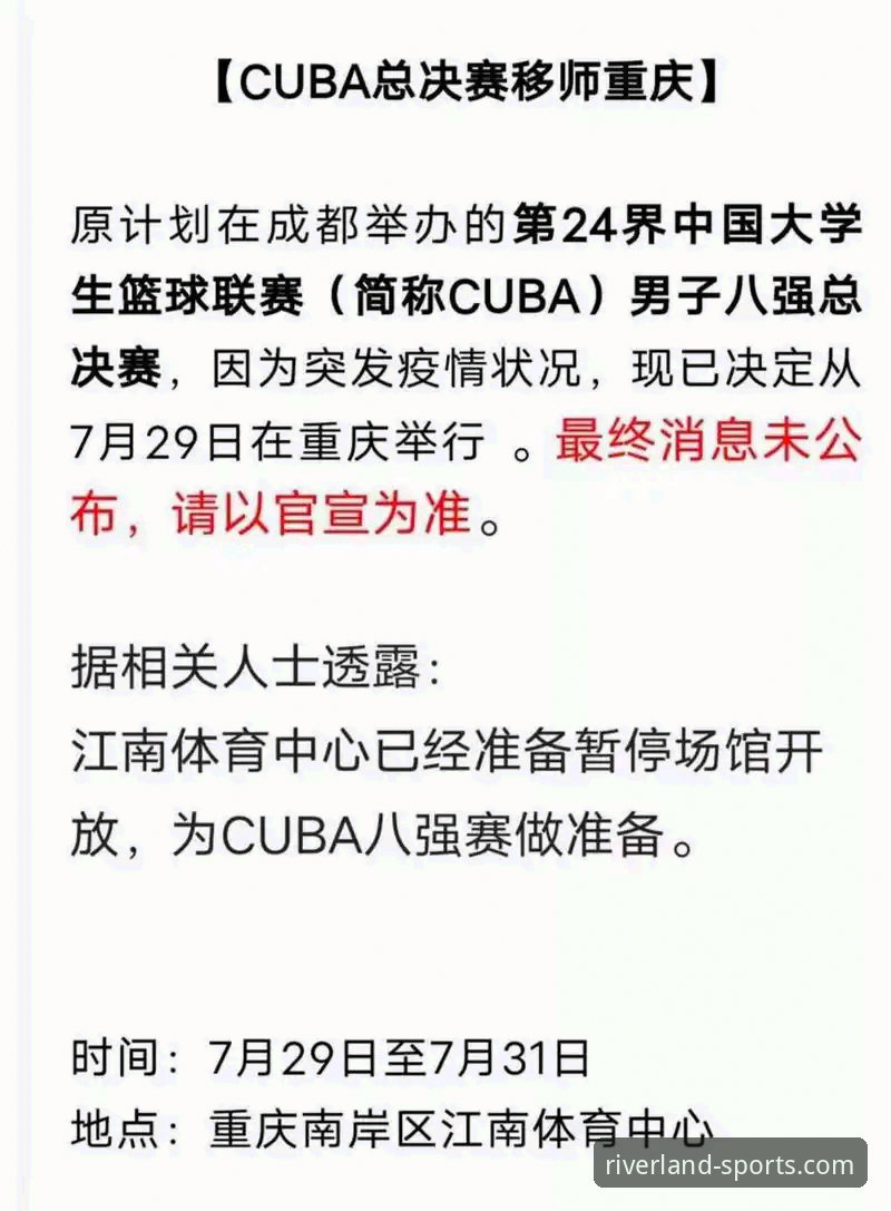 资深用户分享：我是如何通过江南体育平台高效获取赛事资讯的
